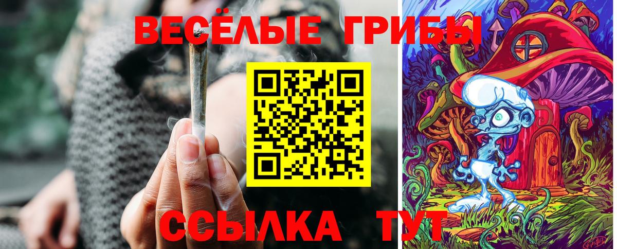 цены   Псилоцибиновые грибы Psilocybe  Вход с VPN  Псилоцибиновые грибы мицелий  Асино 